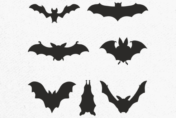 Bat Bundle SVG, Bat Clipart, Bat Cricut